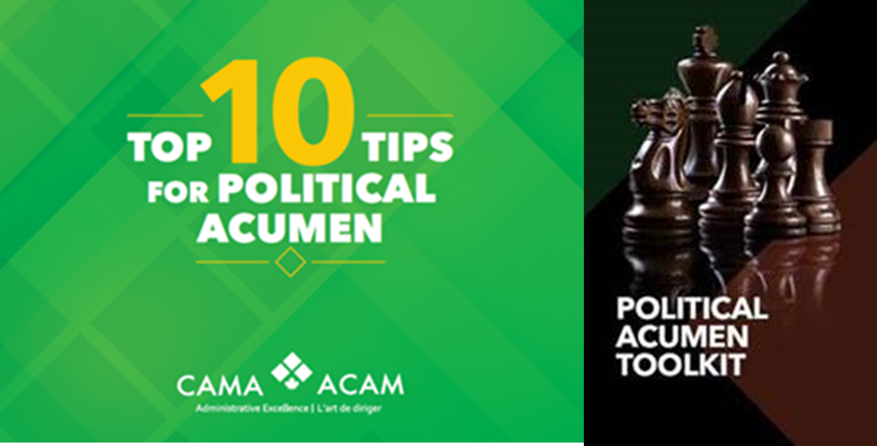 Political Acumen Toolkit Image