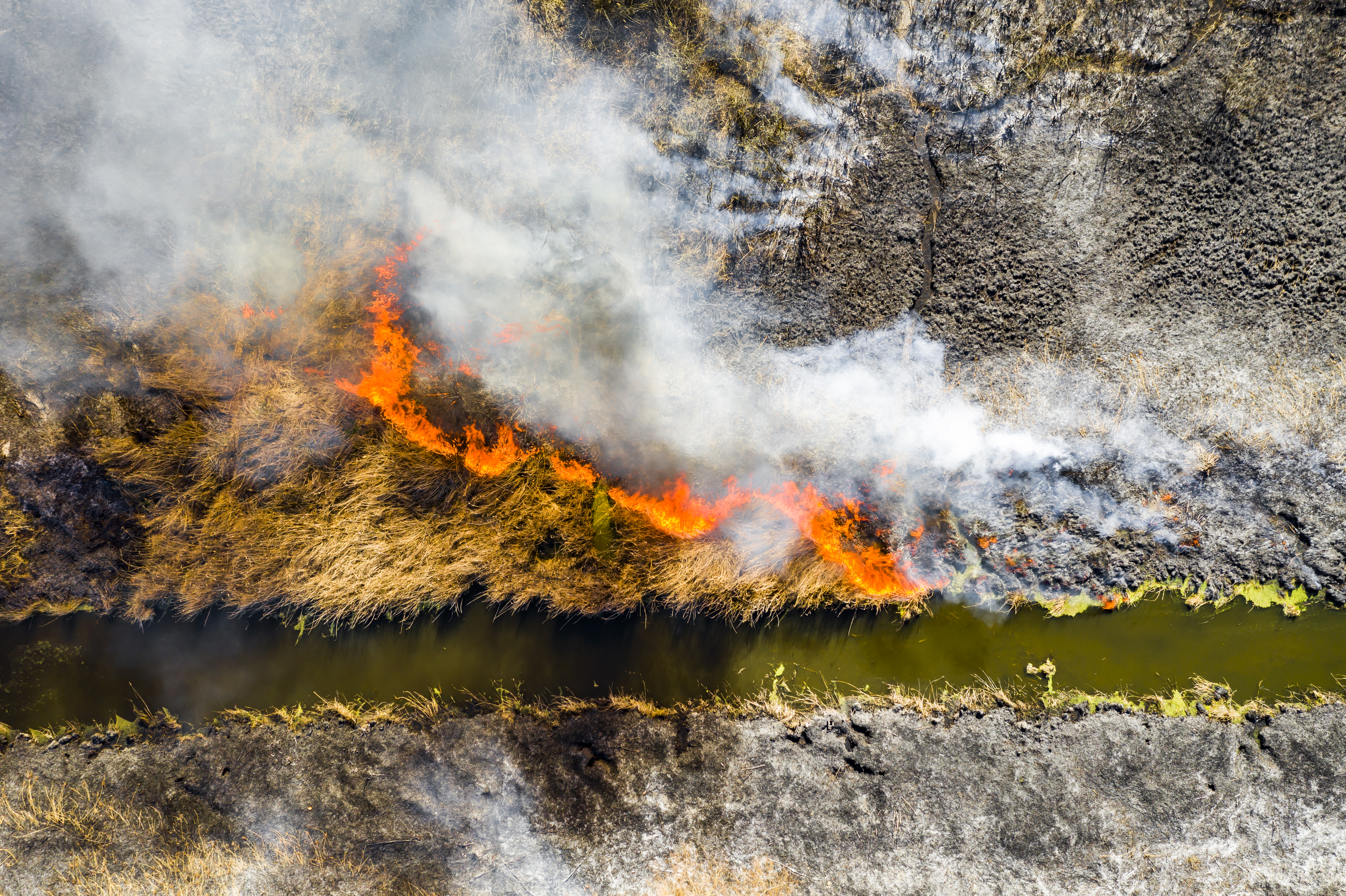 Aerial view of wildfire on the field. Huge clouds of smoke