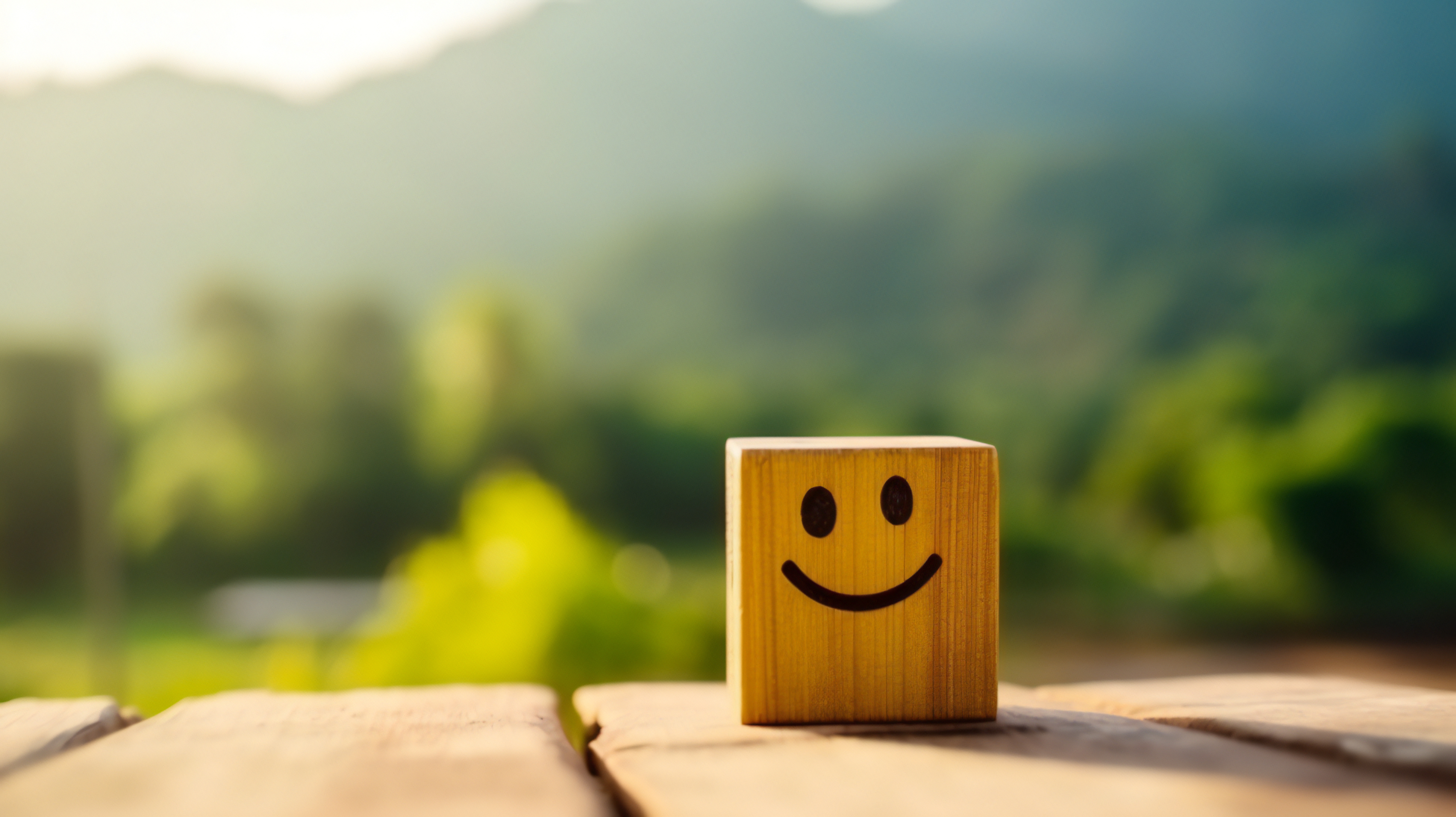 Small block of wood with a drawn smiley face on outdoor table