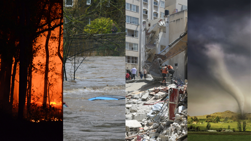 Climate Emergency Preparedness for Local Governments | icma.org