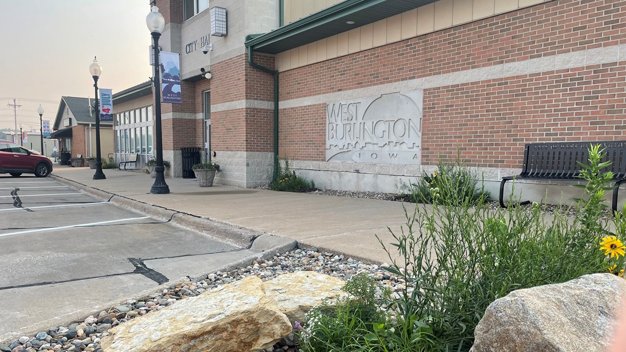 Plants in front of city hall
