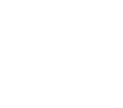 professional-icon