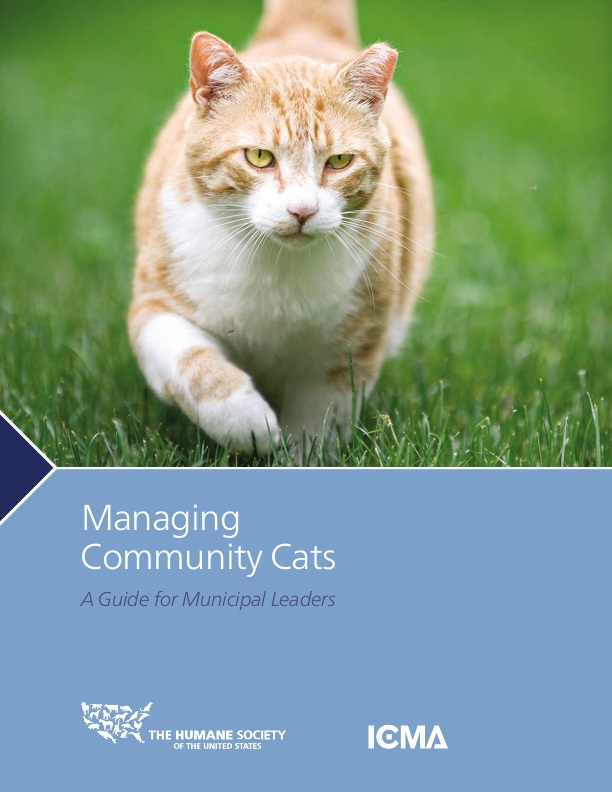 Managing Community Cats A Guide For Municipal Leaders