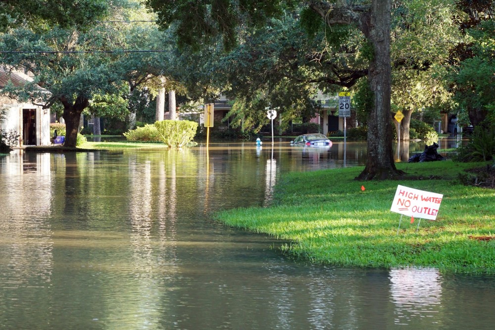 flooding on street lined with trees