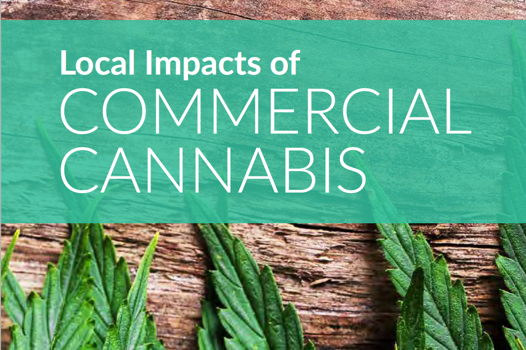 Local Impacts of Commercial Cannabis Report | icma.org