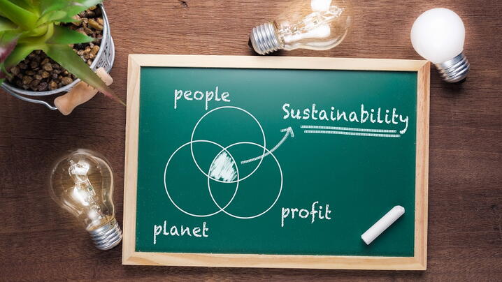 Sustainability Equity