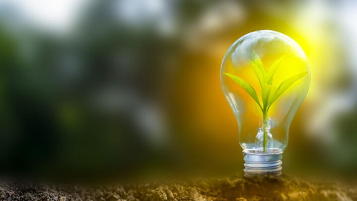 Image of a plant growing a lightbulb