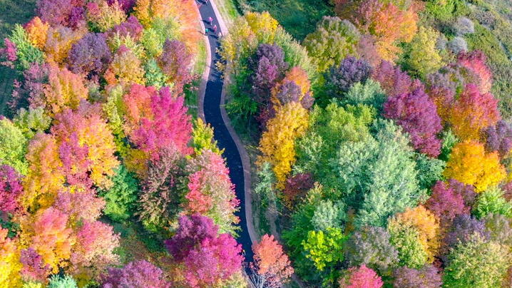 Rib Mountain Aerial Photo of Trillium Fall Colors