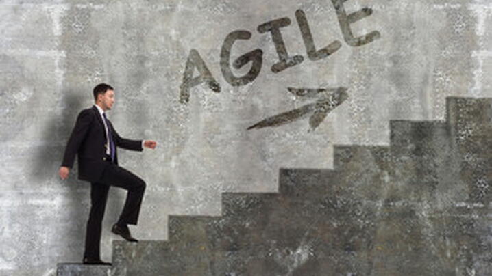 Agile Leaders