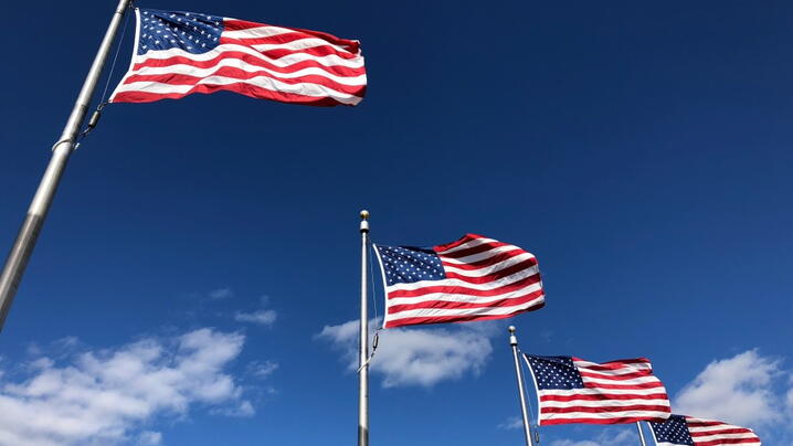 Image of several American flags