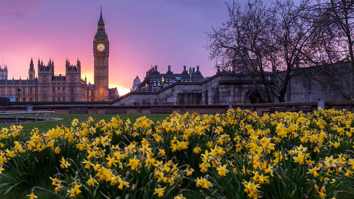 Westminster, London, United Kingdom