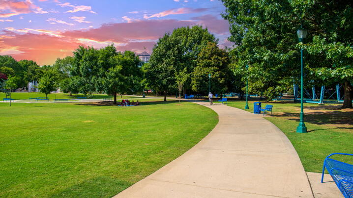 A man riding a bike along a smooth winding footpath in the park surrounded by blue metal benches.