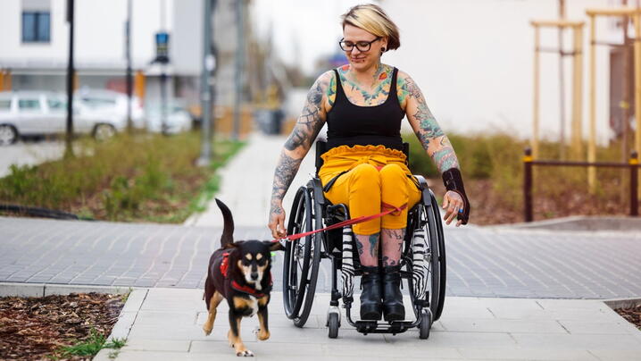 Image of person in wheelchair walking their dog