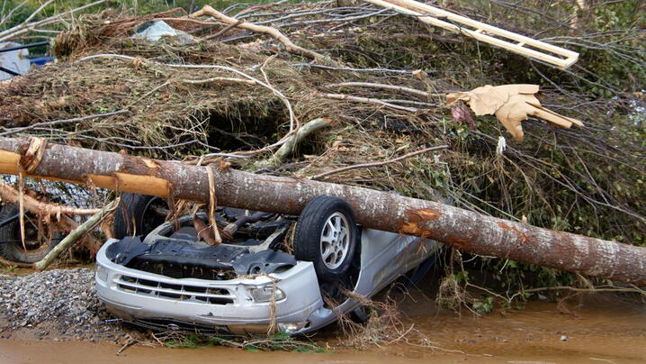Upside Down Car Crushed Under Tree During Hurricane Helene 