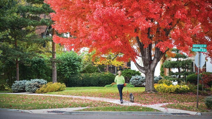 The Maker of Quilted Northern® Partners with Arbor Day Foundation® to Plant  Two Million Trees Across U.S. by End of 2021