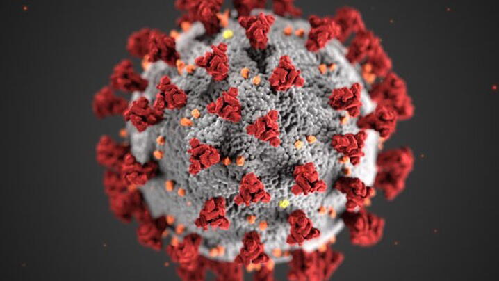 image of coronavirus