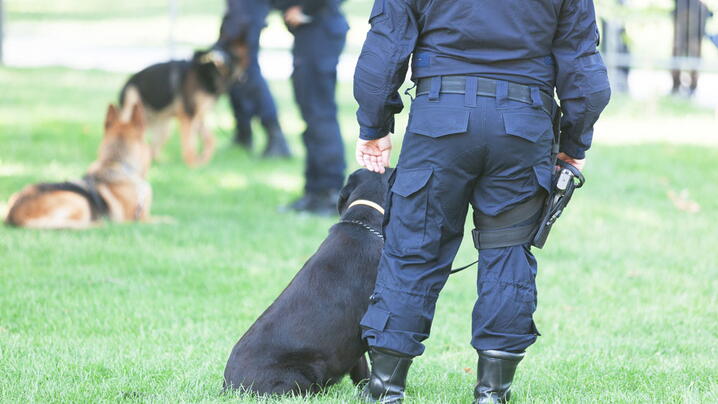 Police officer standing with police dog