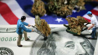 Men pushing cart of cannabis over American flag and dollar bill