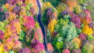  Rib Mountain Aerial Photo of Trillium Fall Colors