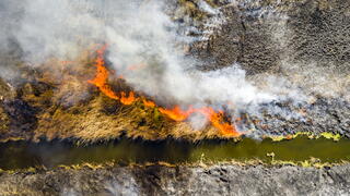 Aerial view of wildfire on the field. Huge clouds of smoke