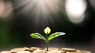 Image of plant growing out of coins