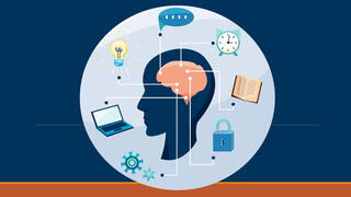 Image of brain