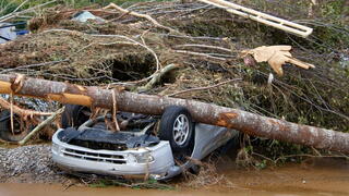 Upside Down Car Crushed Under Tree During Hurricane Helene 