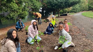 Planting with family at the Downs