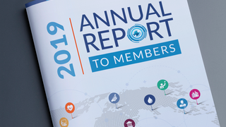 cover of 2019 ICMA Annual Report