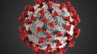 image of coronavirus