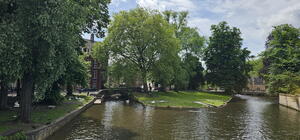 Bruges Study Tour 7