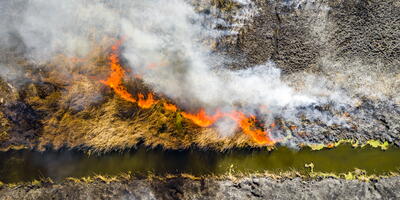 Aerial view of wildfire on the field. Huge clouds of smoke