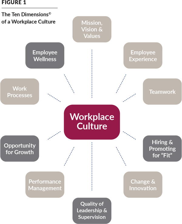 Diagram showing the 10 Dimensions of a Workplace Culture