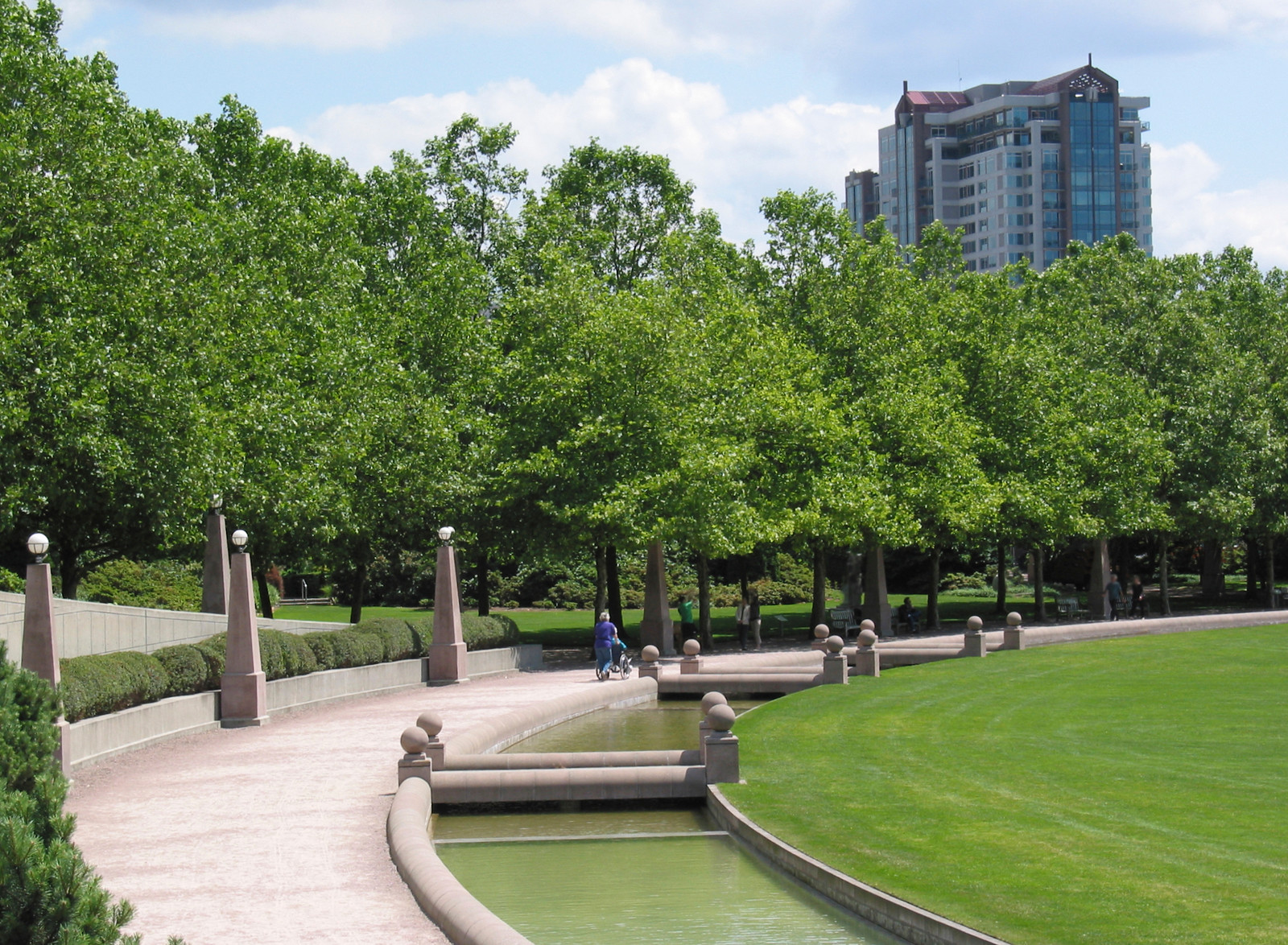 tress and river in city cape